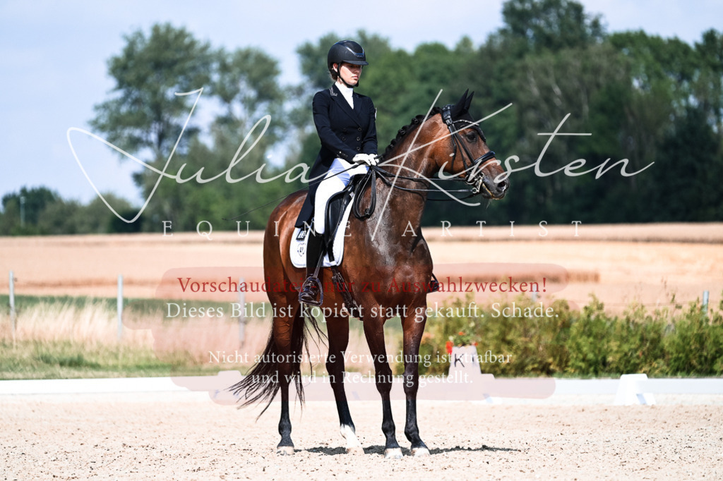 DSC_3046 | Pferde- und Turnierfotografie in Westsachsen. Pferdeportraits, Auftragszeichnungen und intuitive Kunst.