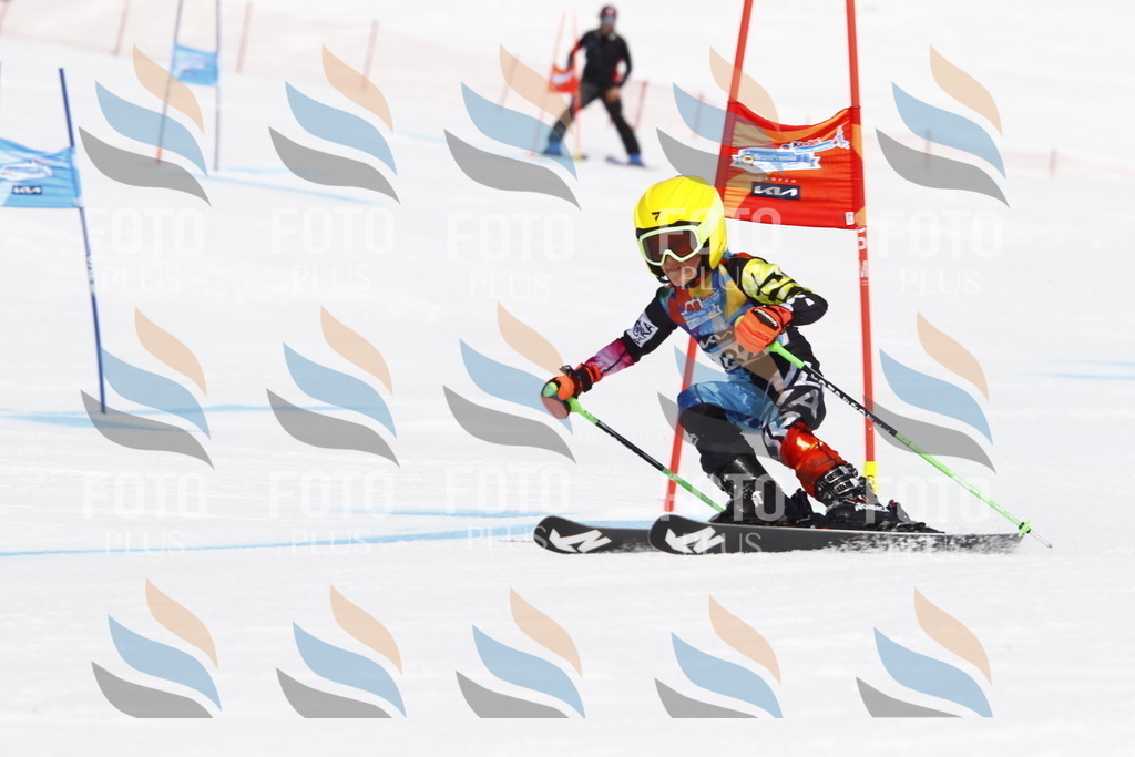 _U3G4792 | holidayphoto