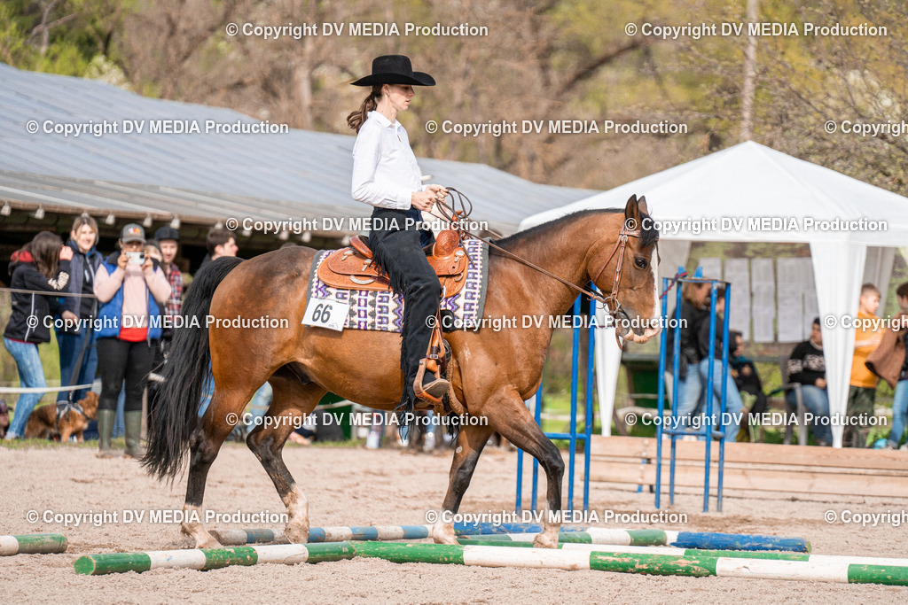 BAL02696 | dv-media-shop - Realisiert mit Pictrs.com