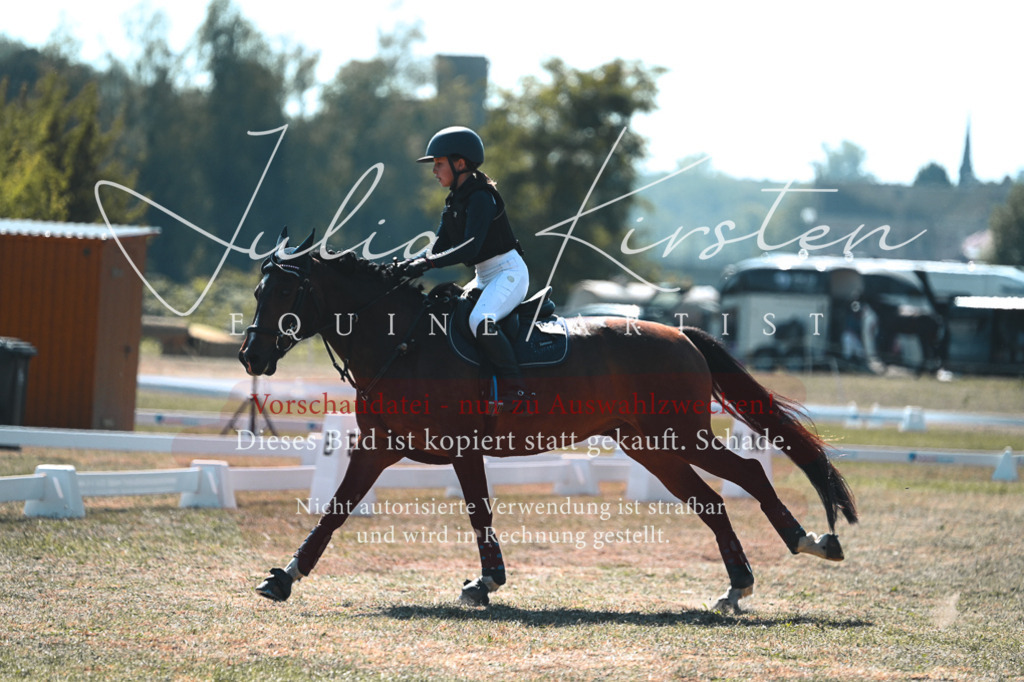 DSC_8369 | Pferde- und Turnierfotografie in Westsachsen. Pferdeportraits, Auftragszeichnungen und intuitive Kunst.