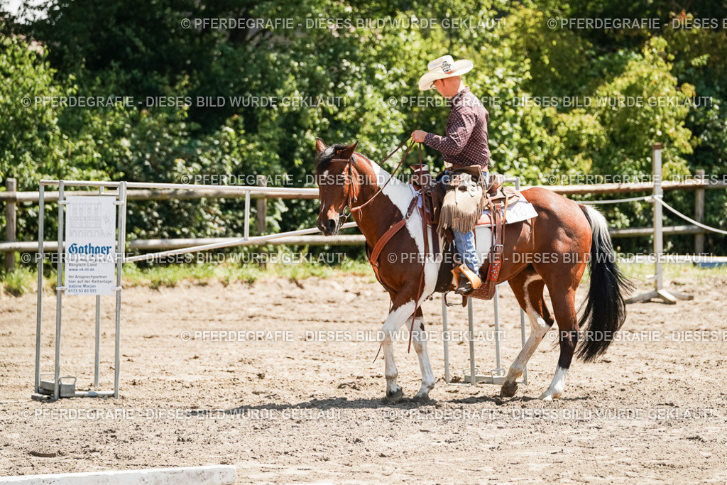 DSC07449 | Pferdegrafie