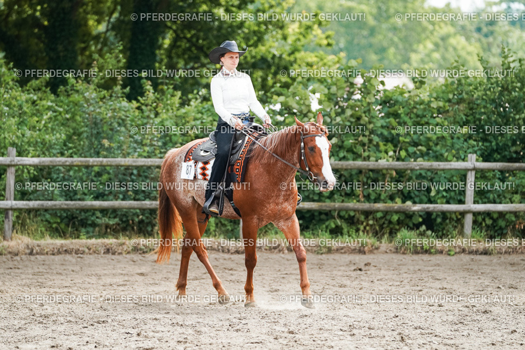 DSC04428 | Pferdegrafie