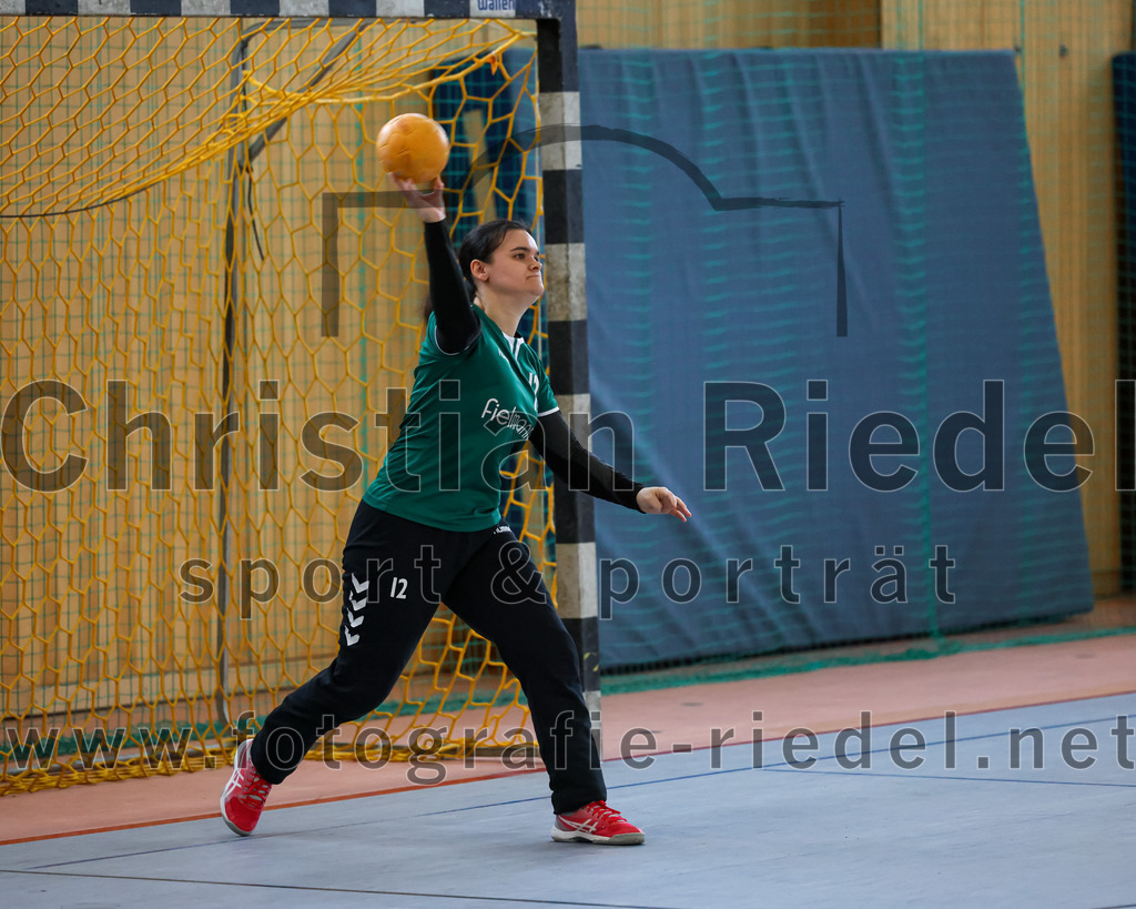 2023-03-18_031_SpVgg_Altenerding_II_gegen_HSG_Freising-Neufahrn_II | Erding, Deutschland, 18.03.2023:
Handball, Bezirksliga Frauen Altbayern 2022 / 2023, 14. Spieltag, SpVgg Altenerding II gegen HSG Freising-Neufahrn II, Endergebnis: 25:27

Torfrau Anna-Lena Schmitt (SpVgg Altenerding, #12)

Foto: Christian Riedel / fotografie-riedel.net