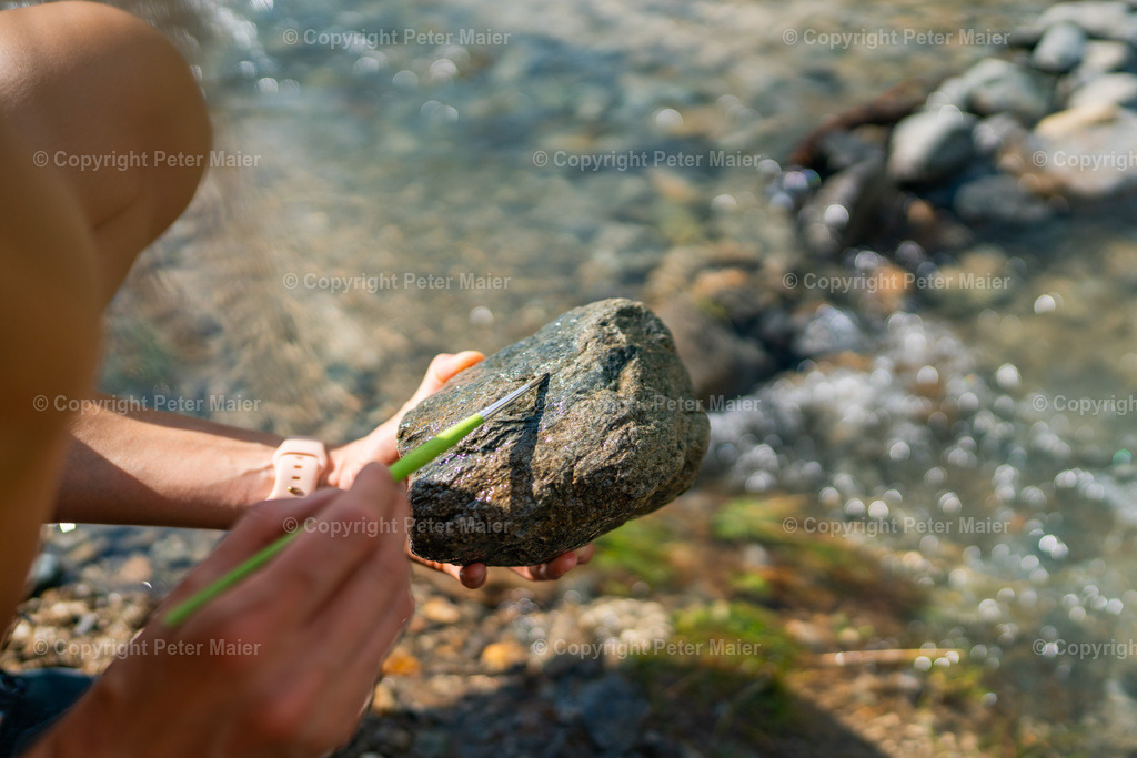 Wasserschule_Haus_des_Wassers_Erlebnisraum_Wald_23_Peter_Maier-54 | piet_flosse