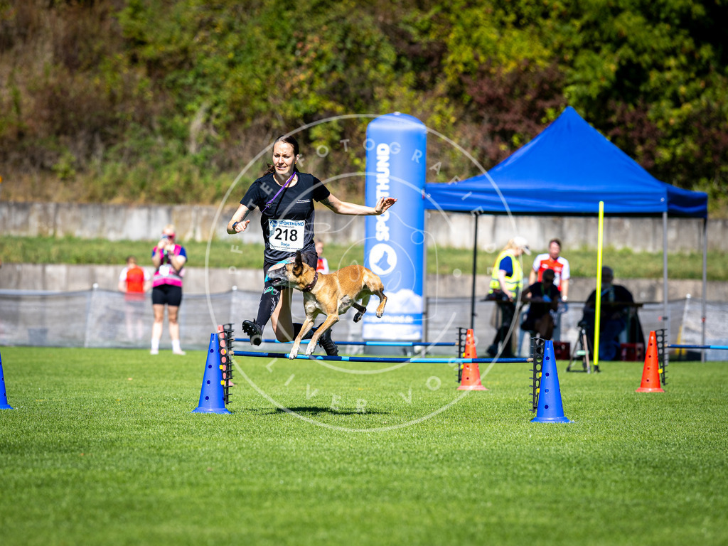 Pfotenfotografie_DV3A5349 | Hundefotografie, Tierfotograf, Pfotenfotografie, Fotoshooting Hund, Hunde Portrait, Hundesport, Hundeportraits, Heideshooting, Hunde, Sportfotograf, Hundefotograf, Turnierhundsport, THS,  - Realisiert mit Pictrs.com