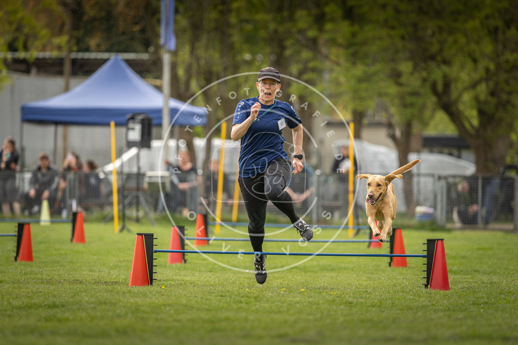 Pfotenfotografie_DV3A6316 | Hundefotografie, Tierfotograf, Pfotenfotografie, Fotoshooting Hund, Hunde Portrait, Hundesport, Hundeportraits, Heideshooting, Hunde, Sportfotograf, Hundefotograf, Turnierhundsport, THS,  - Realisiert mit Pictrs.com