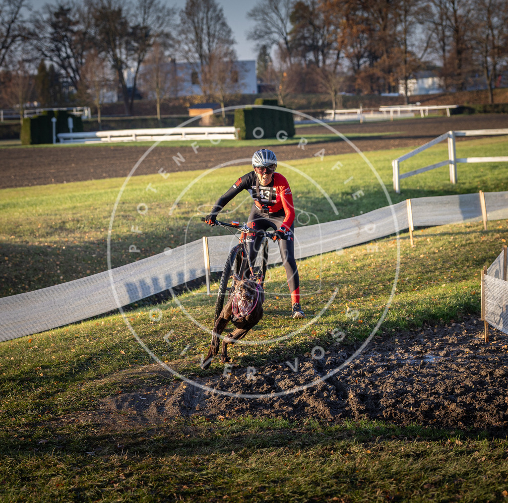 CaniXpix_DV3A0340 | Hundefotografie, Tierfotograf, Pfotenfotografie, Fotoshooting Hund, Hunde Portrait, Hundesport, Hundeportraits, Heideshooting, Hunde, Sportfotograf, Hundefotograf, Turnierhundsport, THS,  - Realisiert mit Pictrs.com