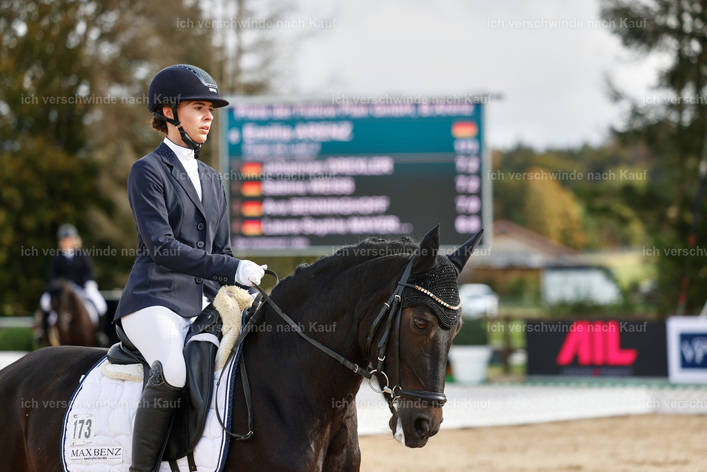 02-173-DRESSUR L_  -StoibPH-4752 | working equitationturnier fotograf videograf stoibphotography marixx film working equitation deutschland reitsport turnierfotografie eventfotografie equestrian events