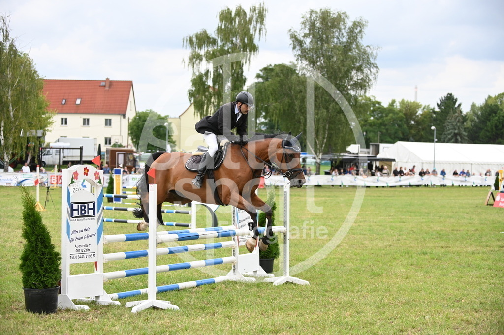 DSC_1364 | sattelsport - Realisiert mit Pictrs.com