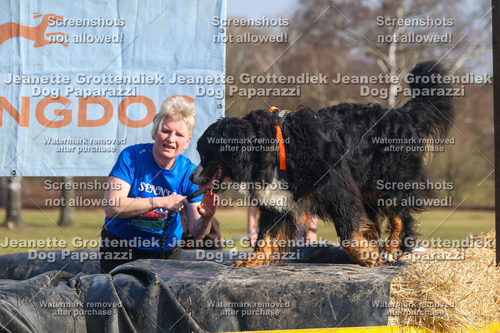 Dog Paparazzi - Strongdog North Mrz26-2694 | Dog Paparazzi Jeanette Grottendiek Fotografie & Videografie - Realisiert mit Pictrs.com