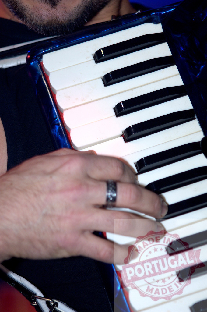 Musician playing blue accordion with right hand wearing a ring | Close-up of a musician playing a blue accordion with his right hand wearing a ring - Realized with Pictrs.com