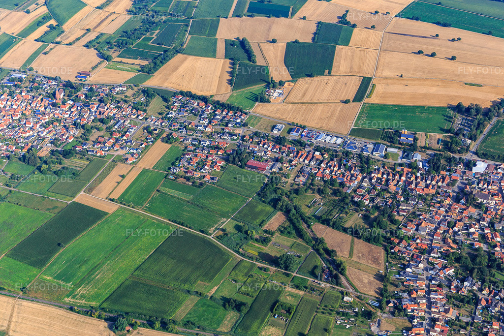 Luftbild: Höckerlinie in Steinfeld im Bundesland Rheinland-Pfalz in Deutschland. Foto: IMG_121930.jpg vom 01.08.2020 durch Werner Riehm/FLY-FOTO.de