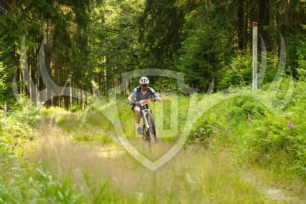 FC103195 | Fotogalerie der Treibjagd im Dunkelwald - Dein MTB Etappenrennen im Erzgebirge - Realisiert mit Pictrs.com
