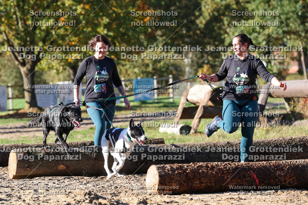 Dog Paparazzi - Strongdog 10-25-1732 | Dog Paparazzi Jeanette Grottendiek Fotografie & Videografie - Realisiert mit Pictrs.com