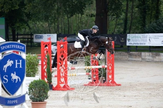 2B4A2262 | pixelfaenger - Realisiert mit Pictrs.com