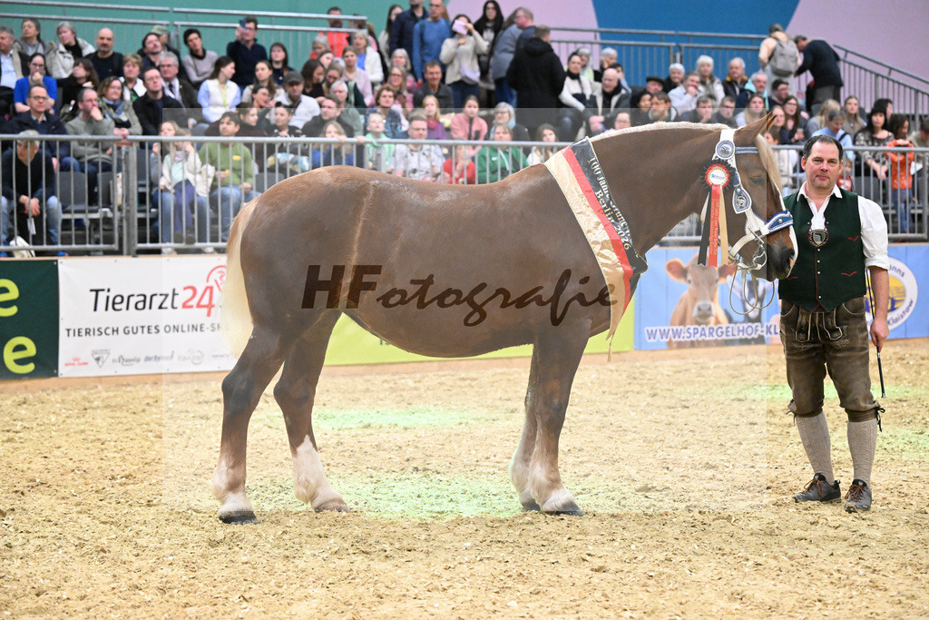 Kat-Nr. 33 Finesse G v. Schmauzenberg_Grandauer_1260726 | hf-fotografie - Realisiert mit Pictrs.com
