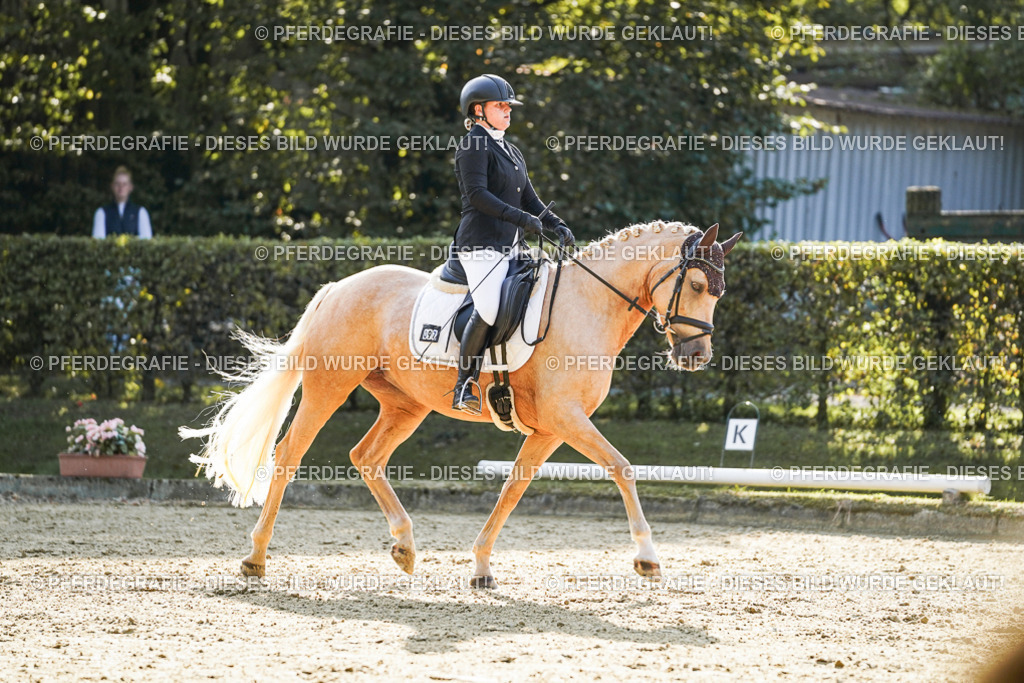 DSC05826 | Pferdegrafie