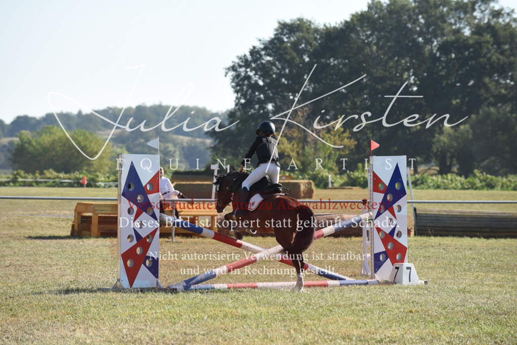 DSC_5774 | Pferde- und Turnierfotografie in Westsachsen. Pferdeportraits, Auftragszeichnungen und intuitive Kunst.