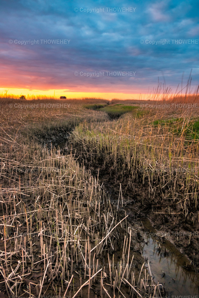 _2850646 | thowehey - Realisiert mit Pictrs.com