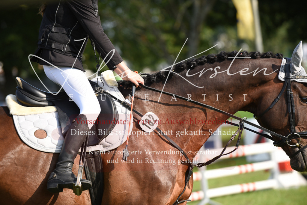 DSC_8679 | Pferde- und Turnierfotografie in Westsachsen. Pferdeportraits, Auftragszeichnungen und intuitive Kunst.