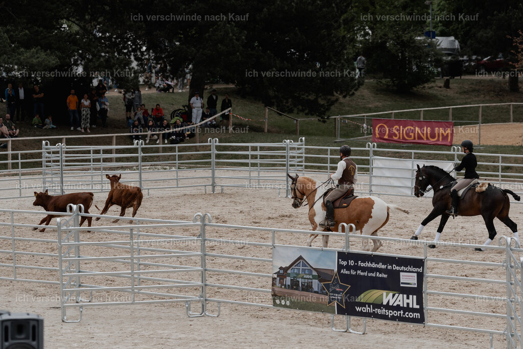 WE__Stoib_Rinder_PI2025_3165 | Pferd International München 2025