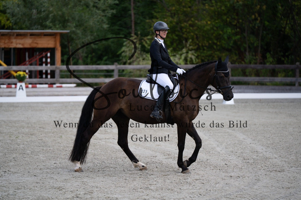 A7V06780 | Pferdefotograf