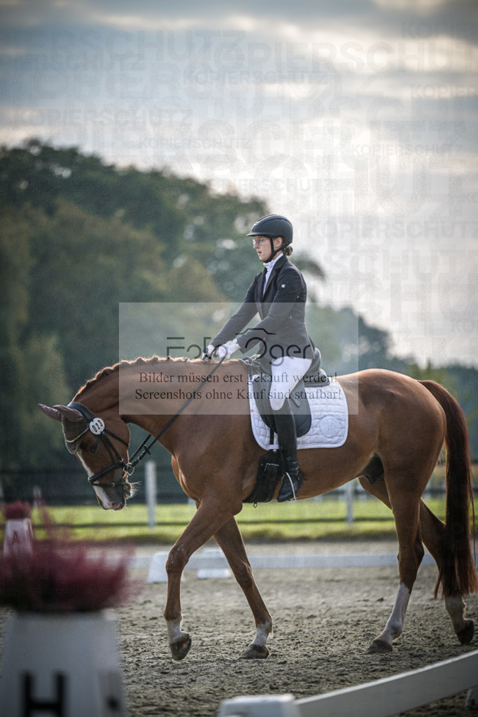 DOS_B059 | Entdecke hochwertige Reitturnierfotos von Foto Oger. Professionell, emotional und authentisch – jetzt Lieblingsmomente im Shop bestellen.Deutschlandweite Turnierfotografie. - Realisiert mit Pictrs.com
