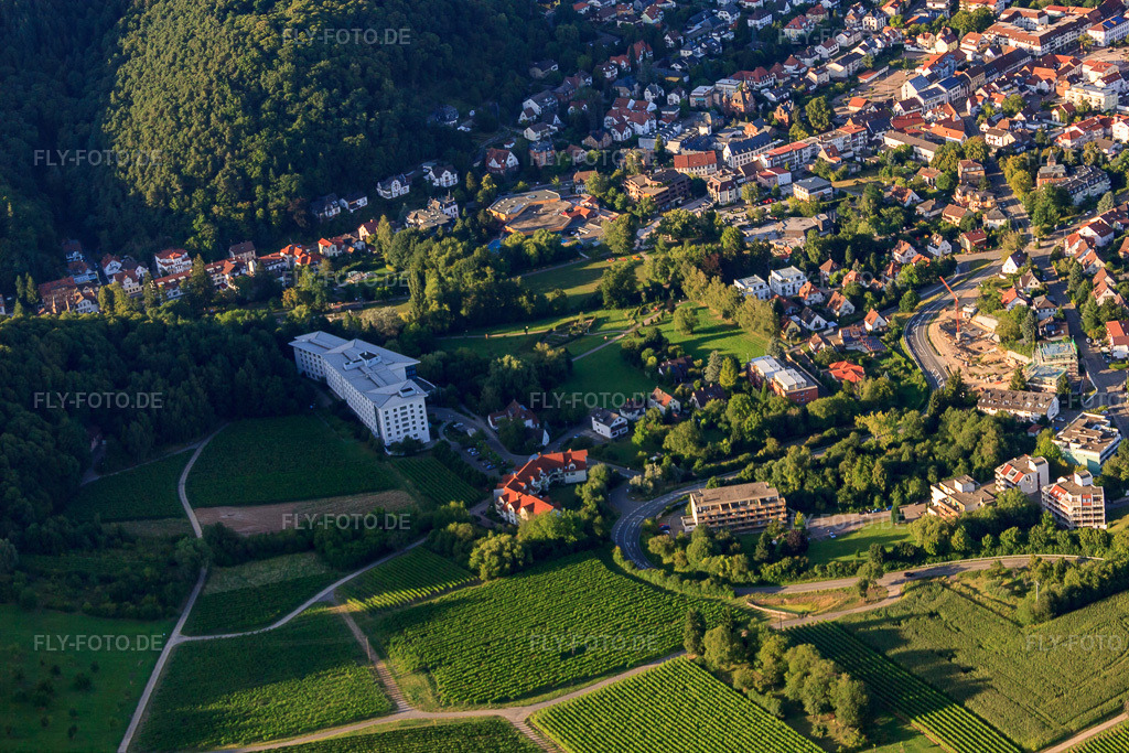 Luftbild: Kurpark Bad Bergzabern in Bad Bergzabern im Bundesland Rheinland-Pfalz in Deutschland. Foto: IMG_51267.jpg vom 04.08.2012 durch Werner Riehm/FLY-FOTO.de