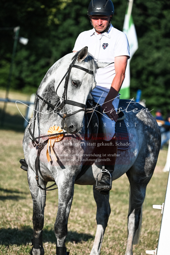 DSC_3189 | Pferde- und Turnierfotografie in Westsachsen. Pferdeportraits, Auftragszeichnungen und intuitive Kunst.