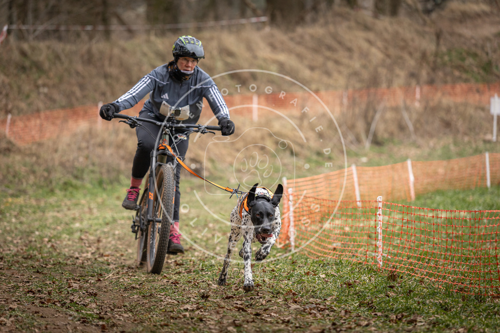 Pfotenfotografie_DV3A6784 | Hundefotografie, Tierfotograf, Pfotenfotografie, Fotoshooting Hund, Hunde Portrait, Hundesport, Hundeportraits, Heideshooting, Hunde, Sportfotograf, Hundefotograf, Turnierhundsport, THS,  - Realisiert mit Pictrs.com