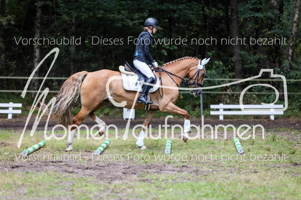 HB-Caprilli-041 | MomenTaufnahmen Pferdesportfotos