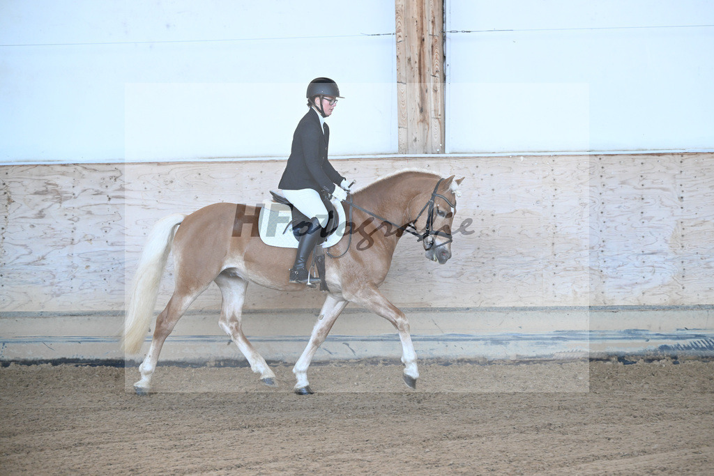 Kat-Nr. 3 Benz-E v. Blitz-U_Wendlinger_43250357 | hf-fotografie - Realisiert mit Pictrs.com