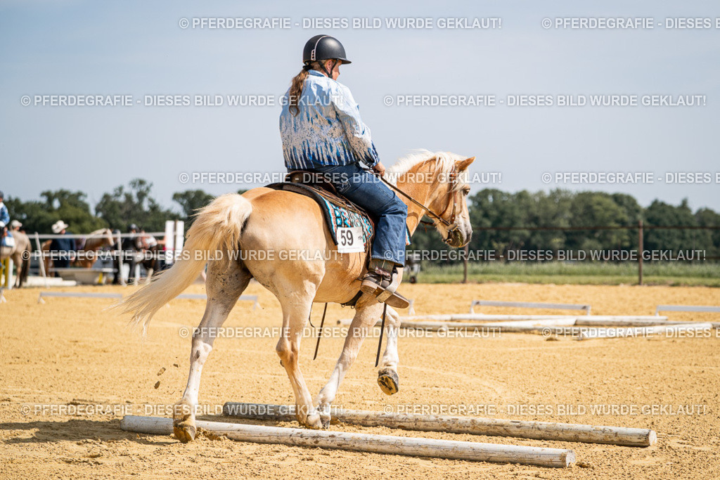 DSC09791 | Pferdegrafie