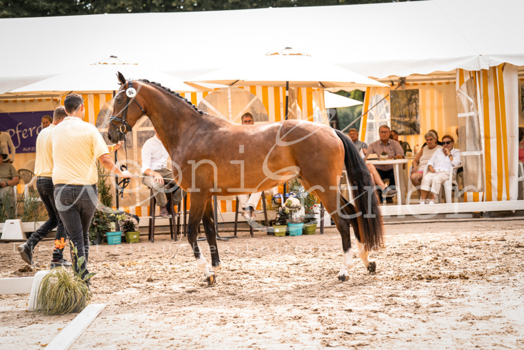 6.Fr00134 | Leoni Ertmer Photography - Realisiert mit Pictrs.com