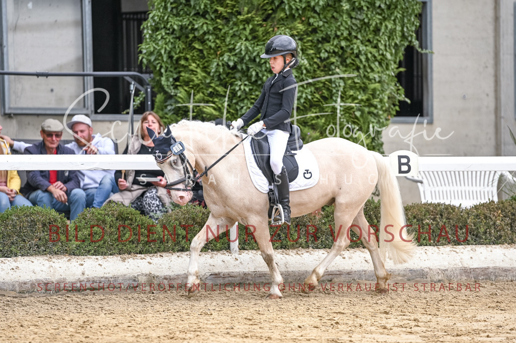 Schugtsche-Aluta25-42.EDressur -415 | Schugtsche Fotografie - Realisiert mit Pictrs.com
