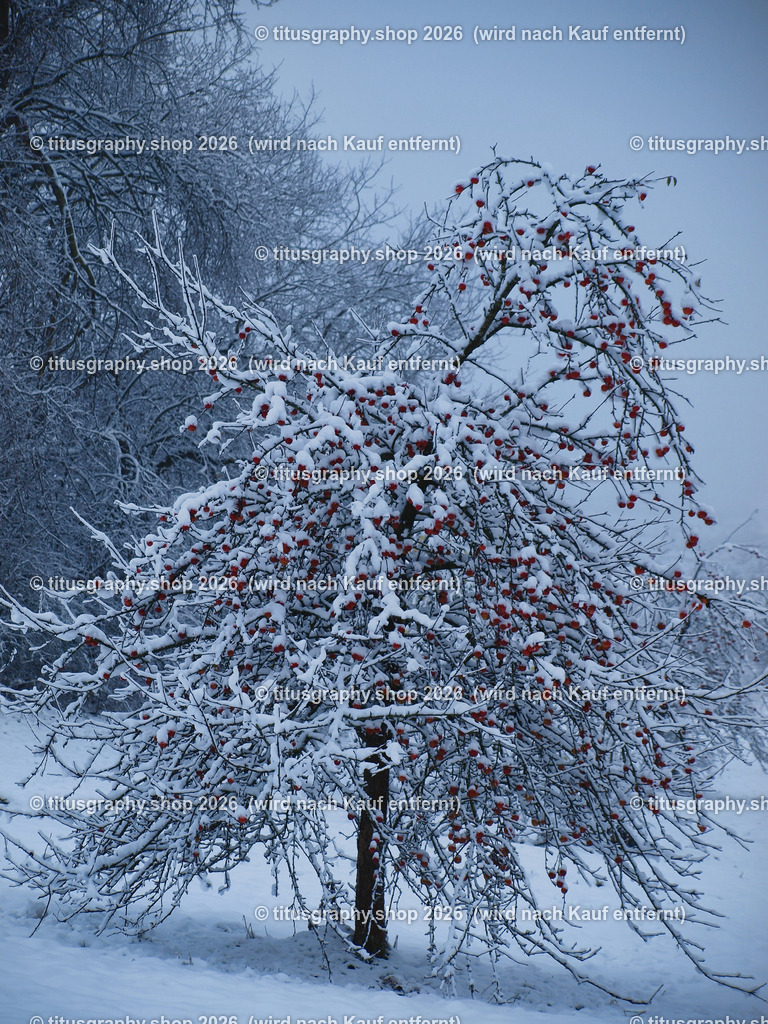 2025-11-21-titusgraphy-vz_PB207590_ln_01 | titusgraphy-shop: Geschenkideen mit Qualitätsfotos. titusgraphy-shop: gift ideas with quality photos. titusgraphy-shop: idées cadeaux avec photos de qualité.  - Realisiert mit Pictrs.com