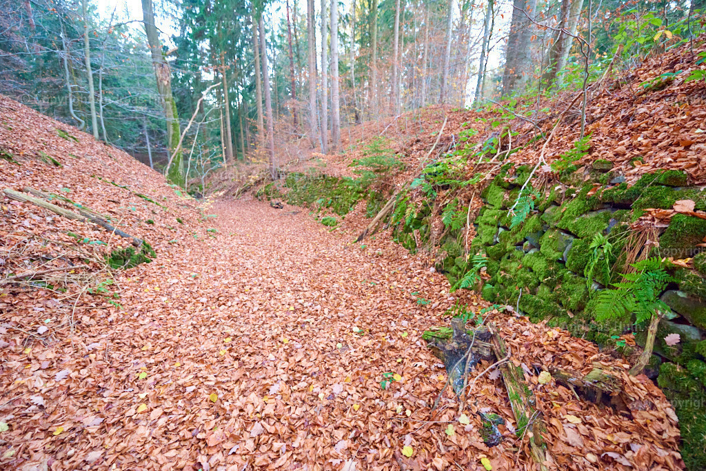 FHG Grillenburger Sandsteinbruch_ Quelle für Goldene Pforte am Freiberger Dom 01 | Bedeutsame Landschaften Deutschlands - Realisiert mit Pictrs.com