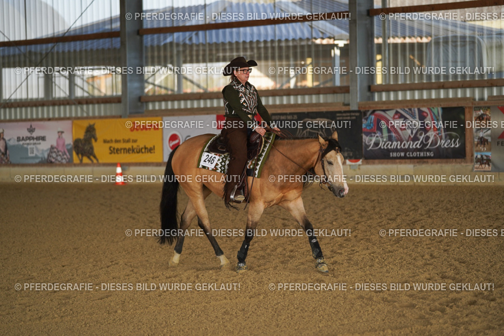 DSC08365 | Pferdegrafie