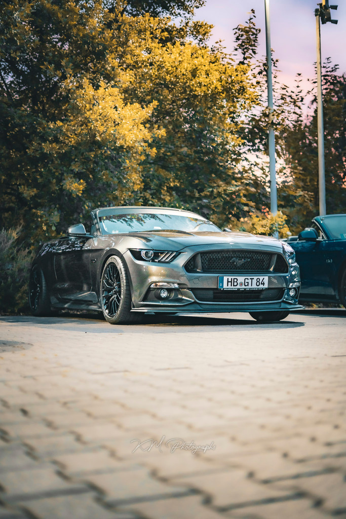 km_photographs-1061 | KM-Photographs, Shootings in Bremen und umzu.Weitere Tags:Foto , Bilder , Portrait , Auto , Kamera , Bremen , Bassum , Barrien , Kostenlos , günstig , Bilder , Fotograf , Fotos , Pictures  - Realisiert mit Pictrs.com