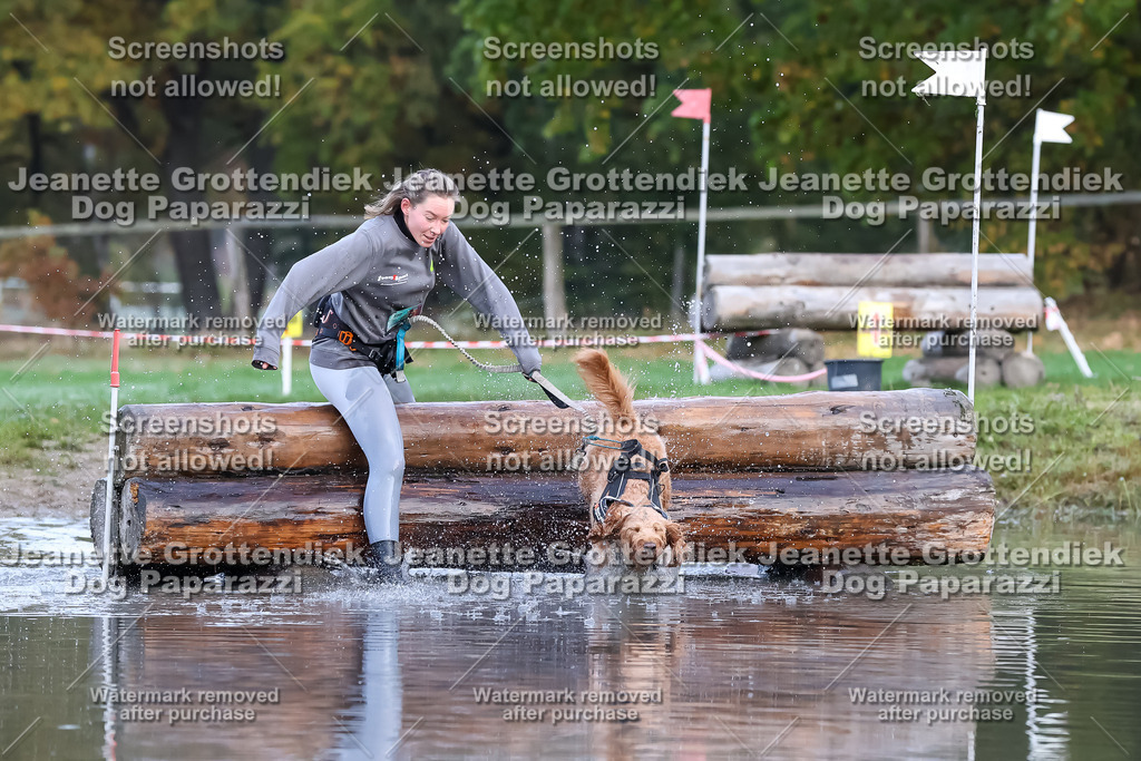 Dog Paparazzi - Strongdog 10-25-6443 | Dog Paparazzi Jeanette Grottendiek Fotografie & Videografie - Realisiert mit Pictrs.com