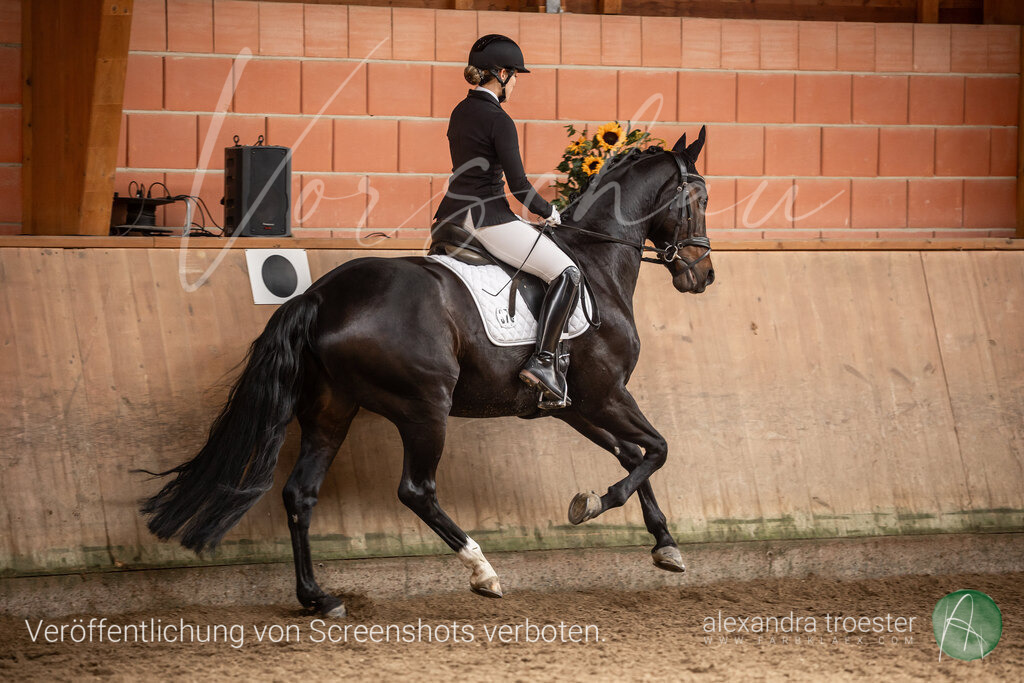 250914_Barop_12_110 | farbklaex.com
