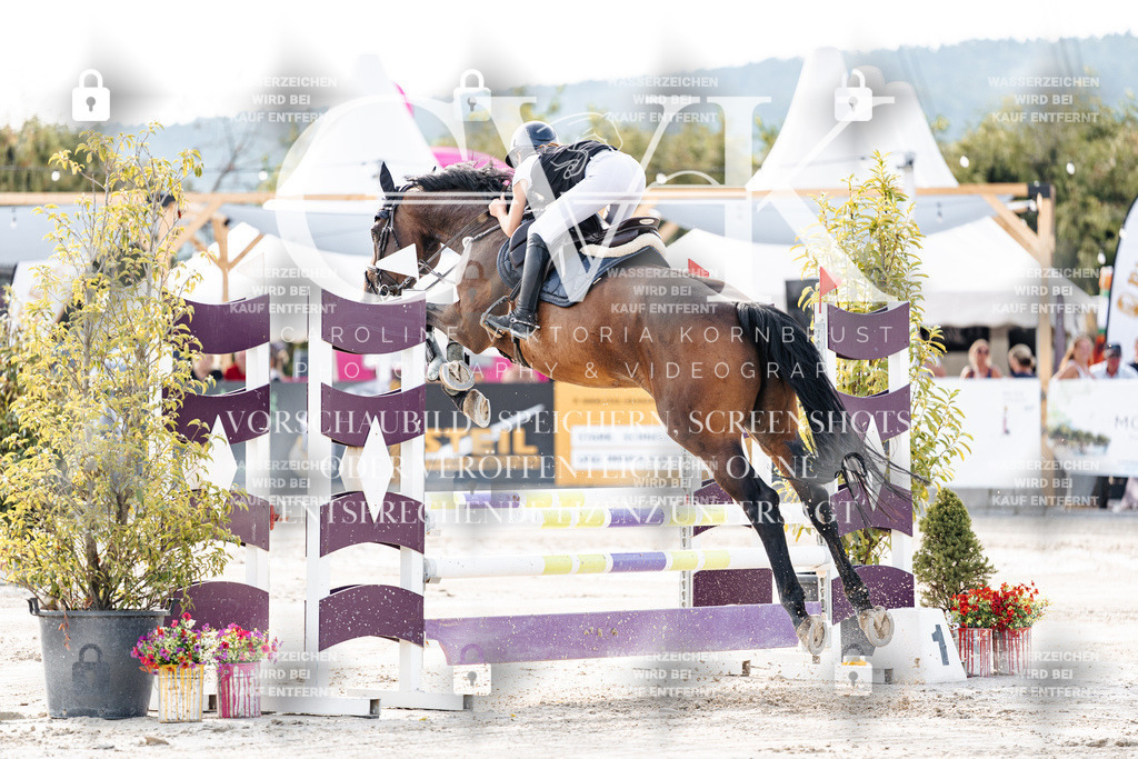 CK906180 | Turnierfotografie Pferdefotografie Trier Rheinland-Pfalz Pferdesport Reitsport Tierfotografie Sportfotografie Pferdevideo Pferdevideografie Equestrianvideography equestrianphotography  - Realisiert mit Pictrs.com