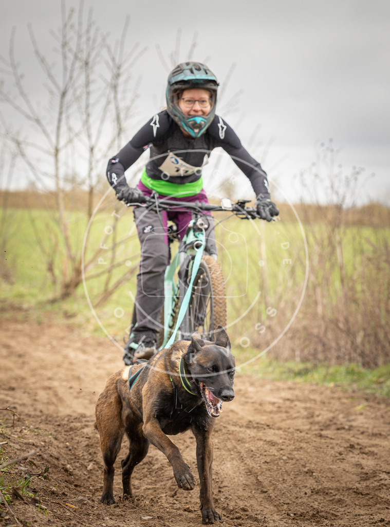 DV3A0872 | Hundefotografie, Tierfotograf, Pfotenfotografie, Fotoshooting Hund, Hunde Portrait, Hundesport, Hundeportraits, Heideshooting, Hunde, Sportfotograf, Hundefotograf, Turnierhundsport, THS,  - Realisiert mit Pictrs.com