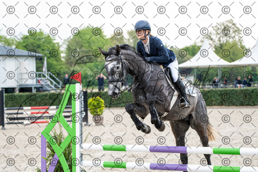 KPT_2239 | andre_photographic