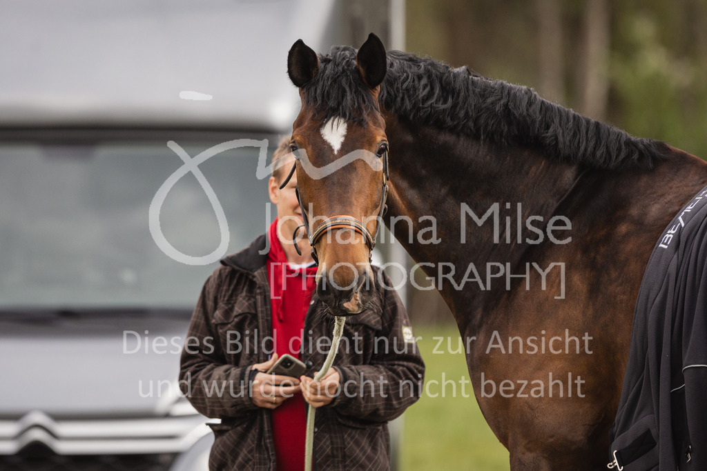 230429_Dressurfestival_S3St-201 | Deine schönsten Turniermomente als professionelle Fotos! Entdecke hochwertige Pferdesport-Fotografie im Online-Shop. Jetzt Fotos finden & bestellen!