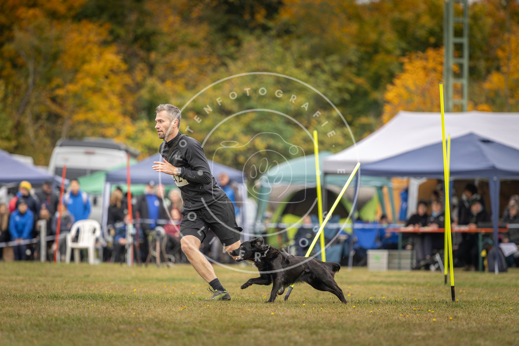 Pfotenfotografie_DV3A5510 | Hundefotografie, Tierfotograf, Pfotenfotografie, Fotoshooting Hund, Hunde Portrait, Hundesport, Hundeportraits, Heideshooting, Hunde, Sportfotograf, Hundefotograf, Turnierhundsport, THS,  - Realisiert mit Pictrs.com