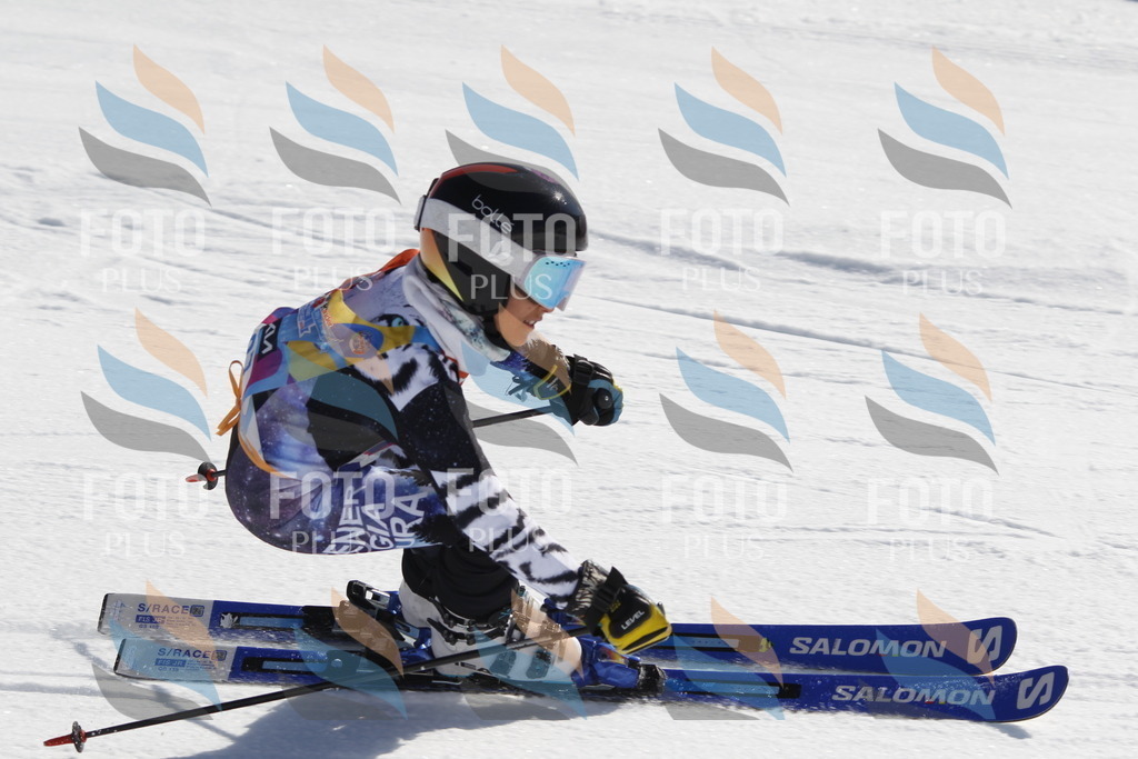 _U3G9180 | holidayphoto