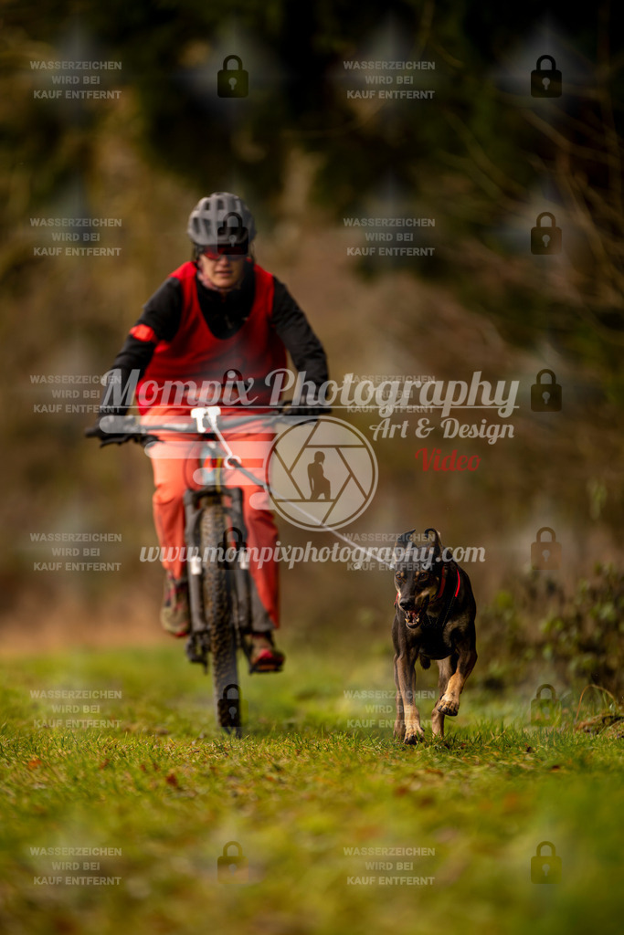 MompixPhotography_2SSTSSBW_2025_SO_Bike-87 | PayLife