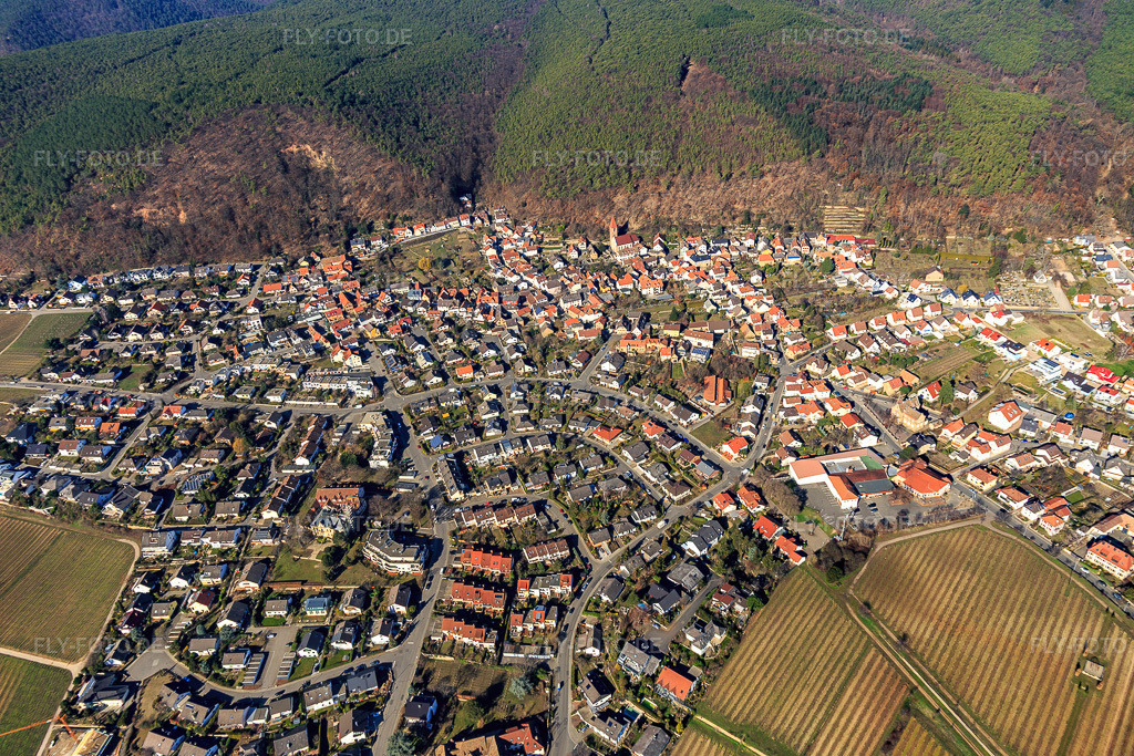 Luftbild: Herzogstraße x Neubergstr im Ortsteil Königsbach in Neustadt im Bundesland Rheinland-Pfalz in Deutschland. Foto: IMG_112787.jpg vom 27.02.2019 durch Werner Riehm/FLY-FOTO.de