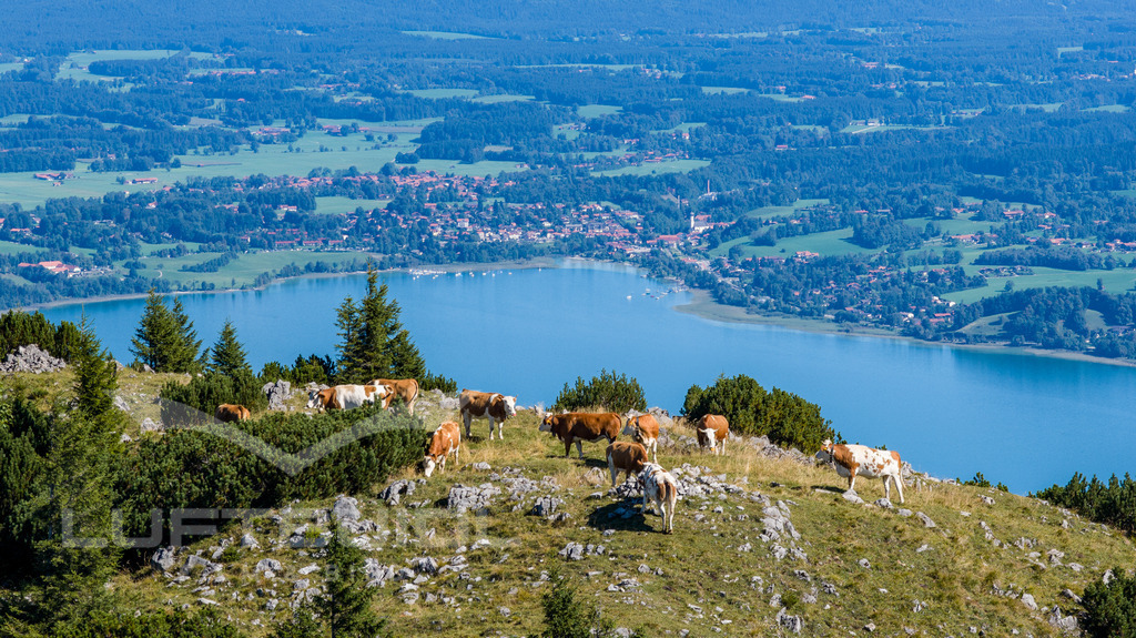 Tegernseer Hütte-5 | LuftBuidl Tegernsee - Realisiert mit Pictrs.com